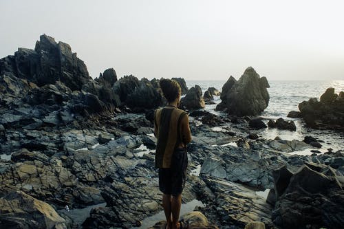 有关不露面, 享受, 佩服的免费素材图片