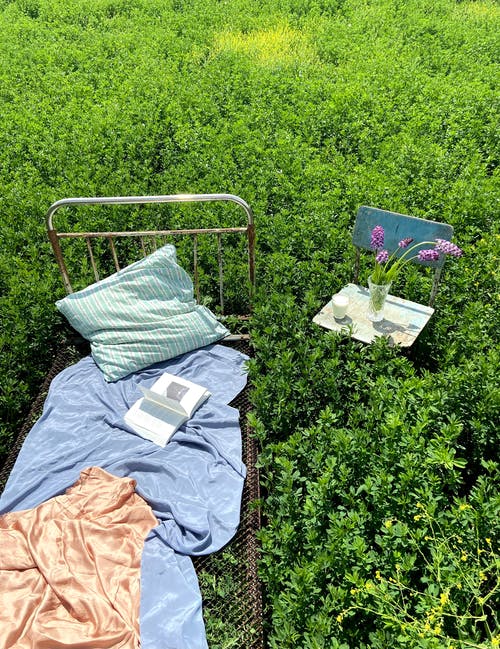 与书的床在椅子附近与花束在领域 · 免费素材图片