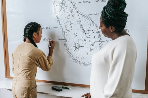 黑人妇女在学校教种族的女孩 · 免费素材图片