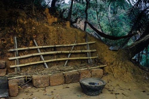 有关传统, 分公司, 卵石的免费素材图片