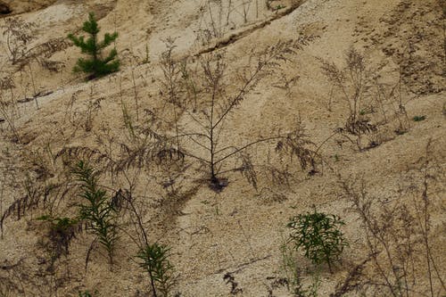 有关丘陵的, 乾旱, 乾燥的免费素材图片
