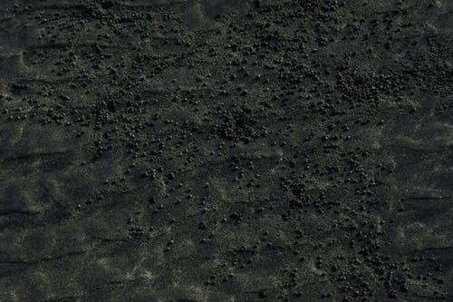 有关光线, 全画幅, 冷静的免费素材图片