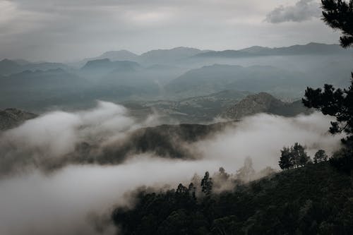 有关和平的, 地平线, 增长的免费素材图片