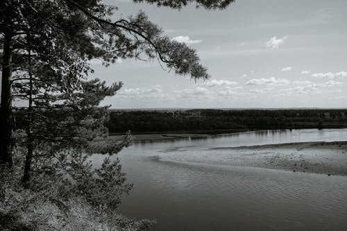 有关bw, 冷静, 分公司的免费素材图片