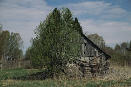 有关乾的, 地平线, 增长的免费素材图片