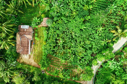有关住, 住宅, 俯视图的免费素材图片
