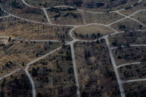 有关乾的, 人行道, 公园的免费素材图片