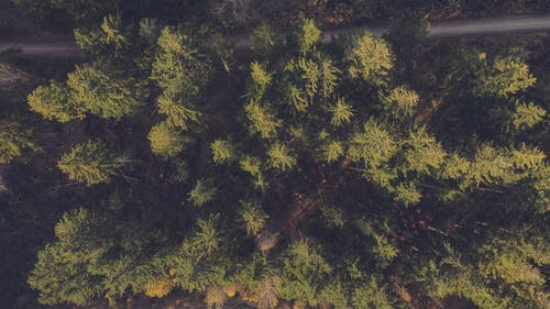 有关俯视图, 冷静, 和平的的免费素材图片