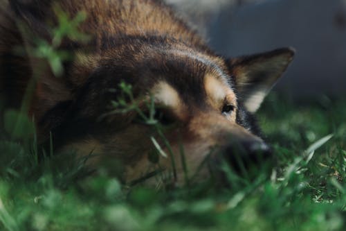 有关享受, 休息, 冷静的免费素材图片