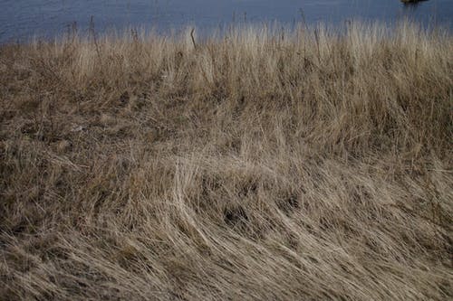 有关乾的, 光, 冷静的免费素材图片