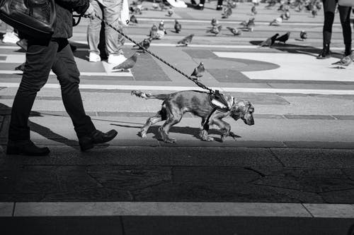 有关bw, 一起, 不露面的免费素材图片