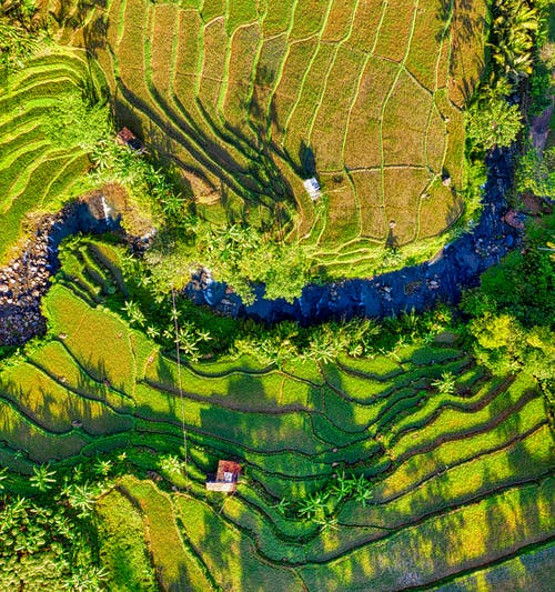 有关一般开销, 俯视图, 农家庭院的免费素材图片