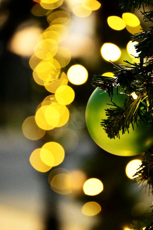 有关圣诞季节, 圣诞气氛, 垂直拍摄的免费素材图片