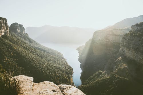 有关不变, 冷静, 华丽的的免费素材图片