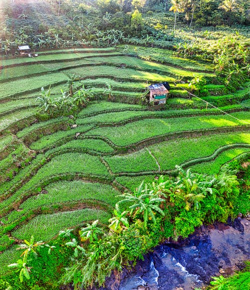 有关划船, 增长, 小河的免费素材图片