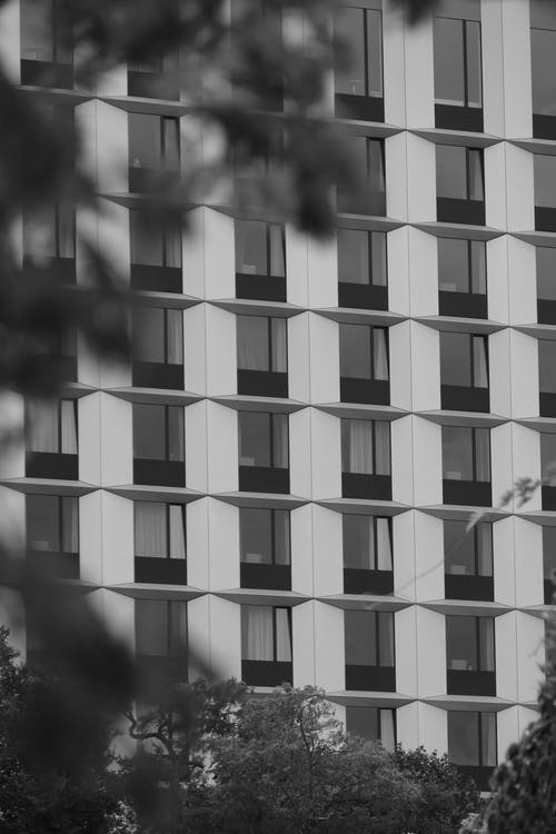 有关单色, 垂直拍摄, 外观的免费素材图片