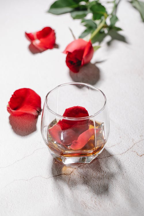 透明玻璃杯上的红玫瑰 · 免费素材图片