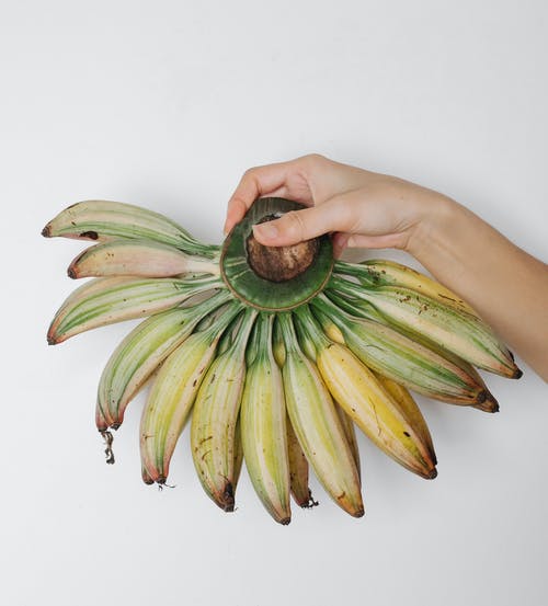 有关一般开销, 不露面, 人的免费素材图片