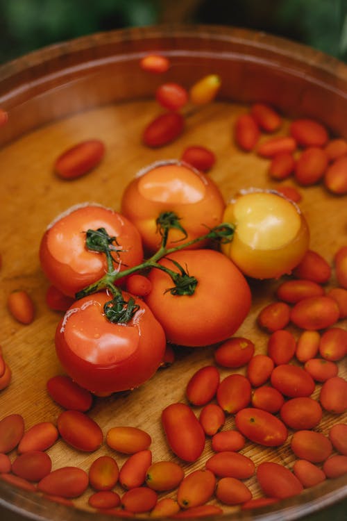 在花园里的木制水碗里的新鲜番茄 · 免费素材图片