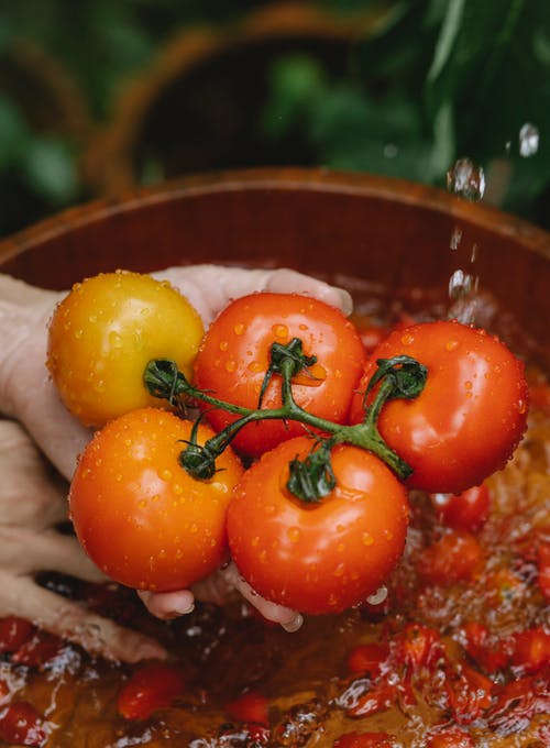作物女人洗碗水碗里的西红柿 · 免费素材图片