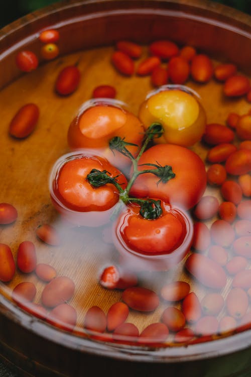水碗与成熟的新鲜番茄，在日光下 · 免费素材图片