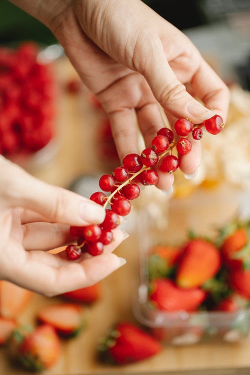 有关小红莓, 水果, 特写的免费素材图片