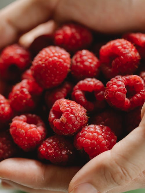 作物人与成熟莓 · 免费素材图片