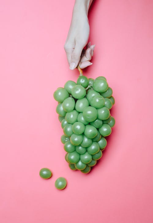 持有绿色圆形水果的人 · 免费素材图片
