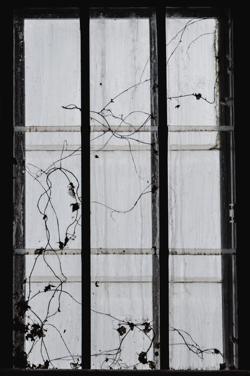 黑色金属窗框，白色百叶窗 · 免费素材图片