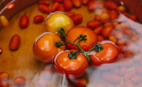 堆在水碗里的收获红番茄 · 免费素材图片
