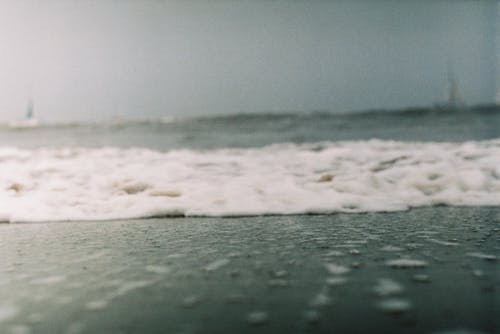 有关低角度拍摄, 招手, 模糊的免费素材图片