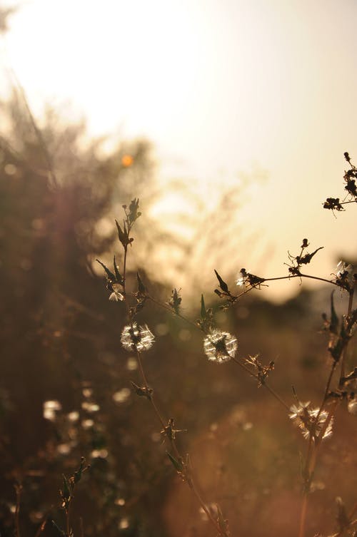 有关乾的, 光, 冷静的免费素材图片