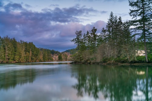 有关反射, 多云的天空, 天性的免费素材图片