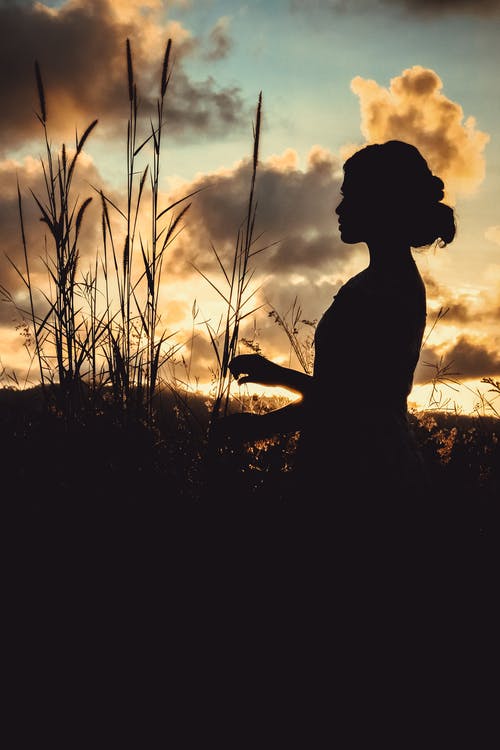 有关享受, 休息, 佩服的免费素材图片