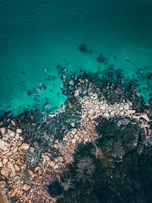 绿松石海与多岩石的海岸，附近绿树 · 免费素材图片