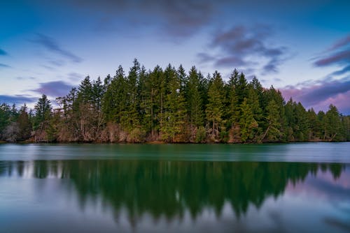 有关反射, 平静, 森林的免费素材图片