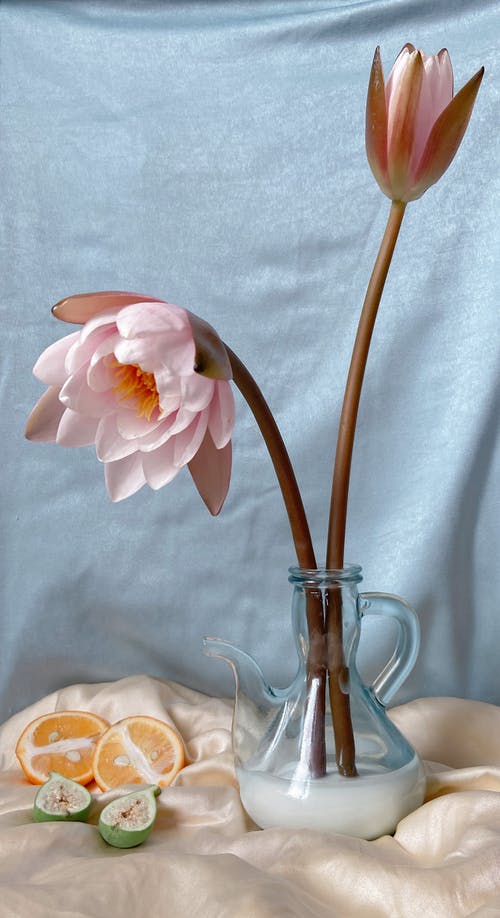 对灰色的布花投手 · 免费素材图片