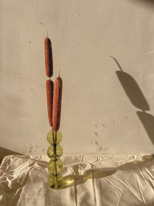 破旧的墙附近的花瓶里的芦苇 · 免费素材图片