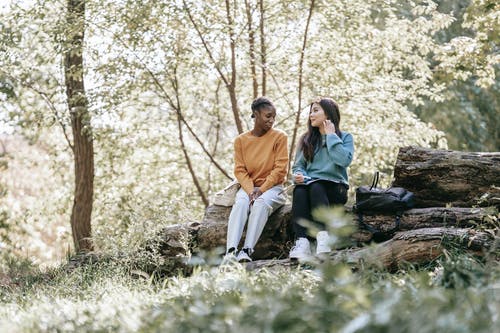 男人和女人坐在树旁的岩石上 · 免费素材图片