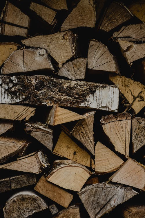 棕色和灰色木原木 · 免费素材图片
