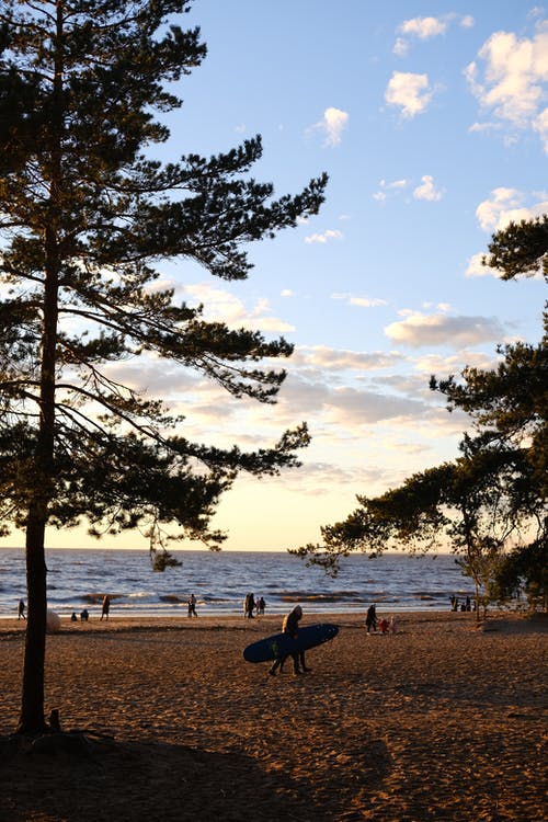 有关休息, 休闲, 垂直拍摄的免费素材图片