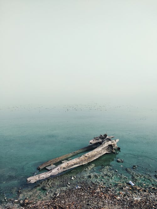 有关Copyspace, 冷静, 和平的的免费素材图片