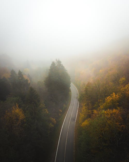 有关下落, 冷静, 原本的免费素材图片