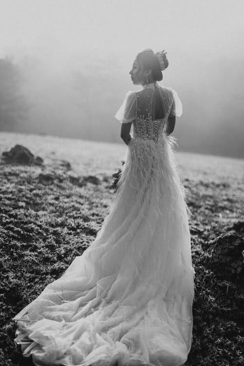 有关bw, 优雅, 冷静的免费素材图片