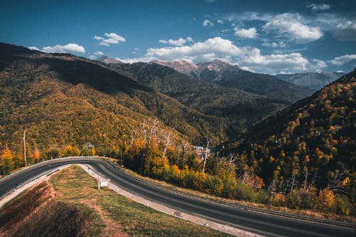 有关华丽的, 和平的, 和谐的免费素材图片