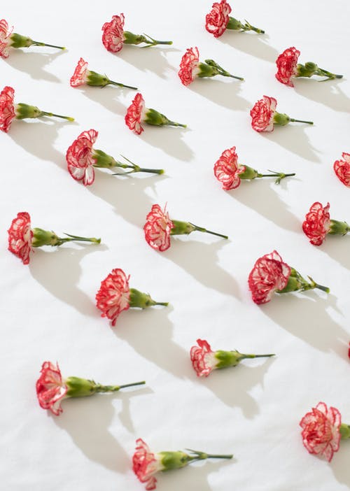 花白色表面上组成 · 免费素材图片