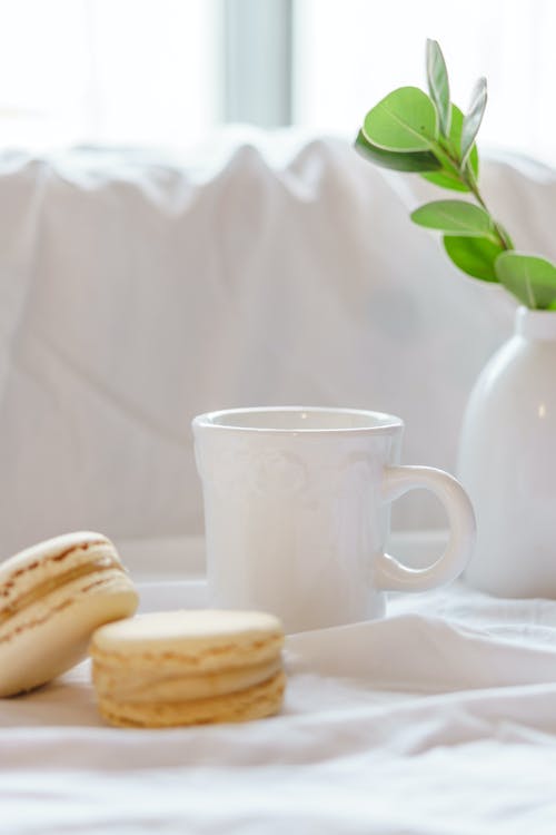 杯子和花瓶与植物茎附近的美味杏仁饼 · 免费素材图片