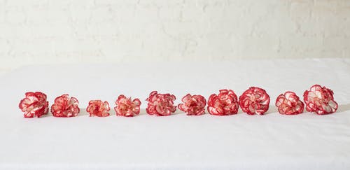 粉红色的花朵，在白色表面上的行 · 免费素材图片