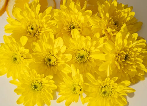 充满活力的黄色花束 · 免费素材图片