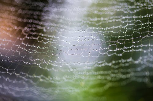 有关Copyspace, Web, 全画幅的免费素材图片